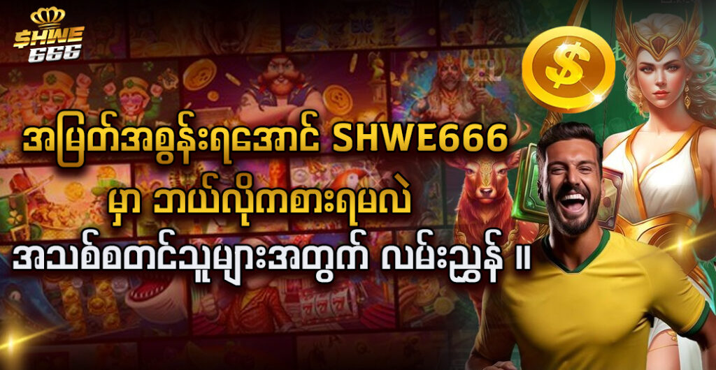 Shwe666