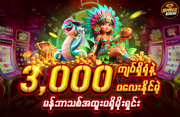 3,000_ကျပ်ရှိရုံနဲ့_ပလေးနိုင်မဲ့_700