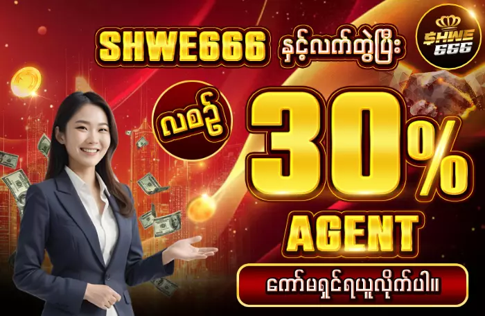 AnyConv.com__30% Agent 700